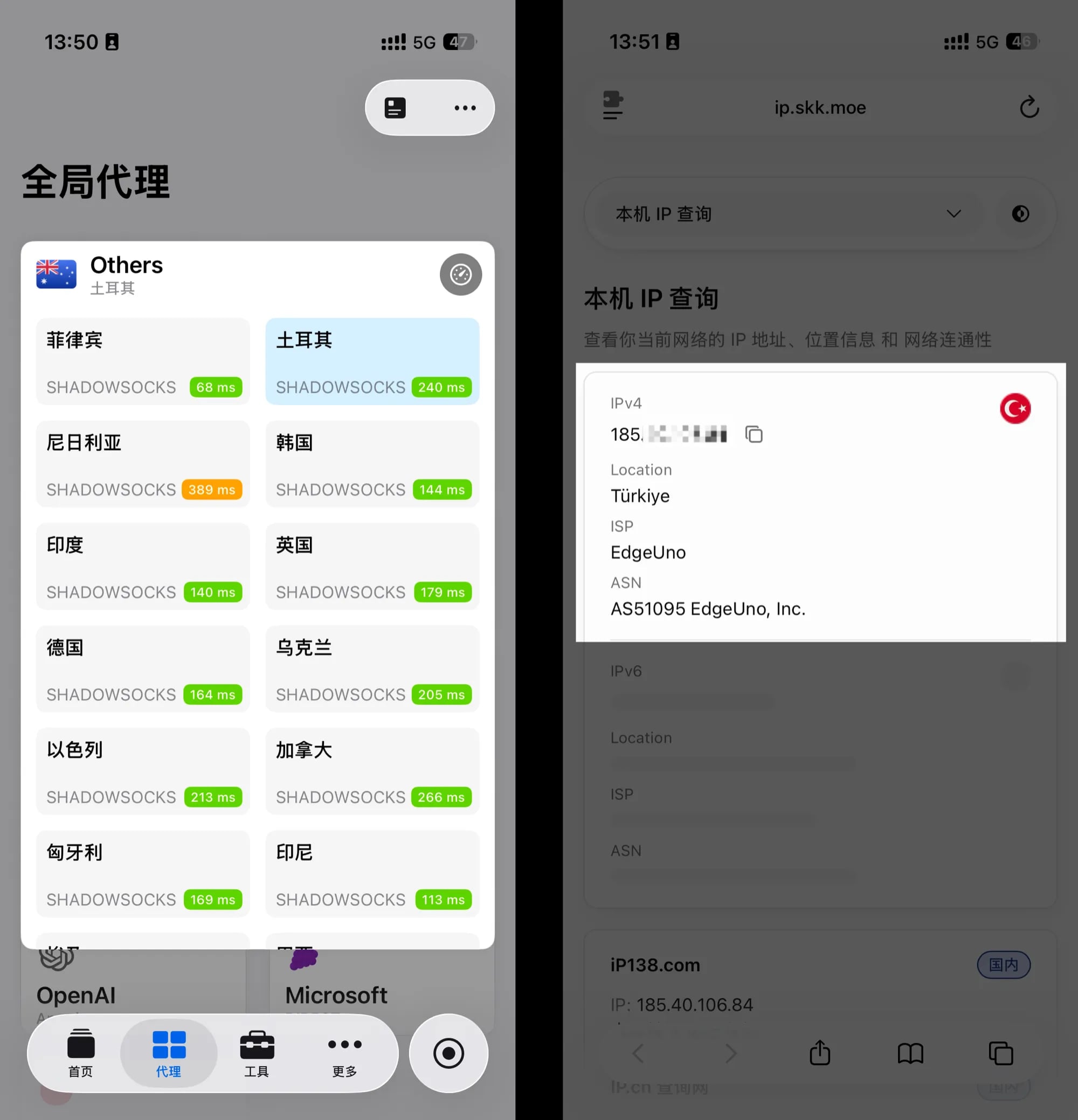 IP 地址验证网站截图